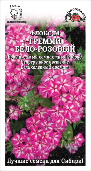 картинка Флокс Друммонда Гремми Бело-розовый F1, 5 шт. от магазина ОПТ6