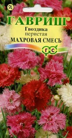 картинка Гвоздика перистая Махровая Сказка, Смесь, 0,1г от магазина ОПТ6