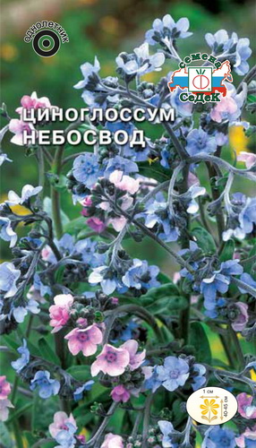 картинка Циноглоссум (чернокорень) Небосвод, 1г от магазина ОПТ6