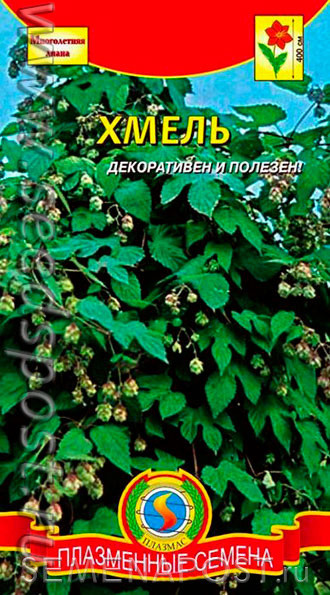 картинка Хмель Лазающий, 4 шт. от магазина ОПТ6