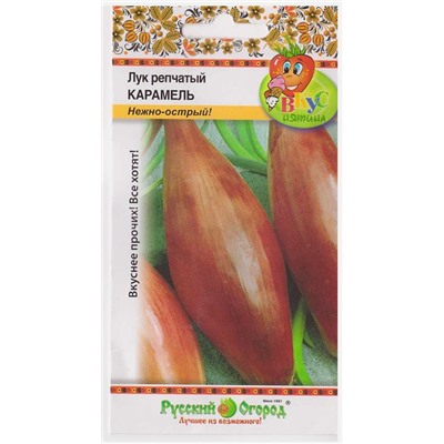 картинка Лук репчатый Карамель Вкуснятина!, 1г от магазина ОПТ6