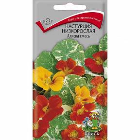 Настурция низкорослая Аляска Оранжевая, 1г