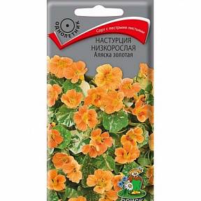 Настурция низкорослая Аляска Золотая, 1г