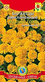 Бархатцы отклоненные Малыш Голд, 30 шт.