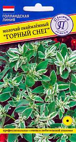 Молочай окаймленный Горный снег, 20 шт. Голландская линия