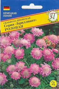 Скабиоза японская Бриллиант Розовая, 8 шт. Немецкая линия