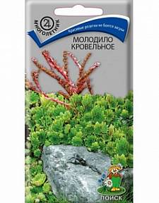 Молодило Кровельное, 0,01г