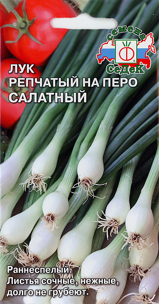 картинка Лук репчатый на перо Салатный, 1г от магазина ОПТ6