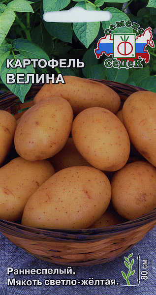 картинка Картофель Велина, 0,02г (30-40 шт. ботанических семян) от магазина ОПТ6