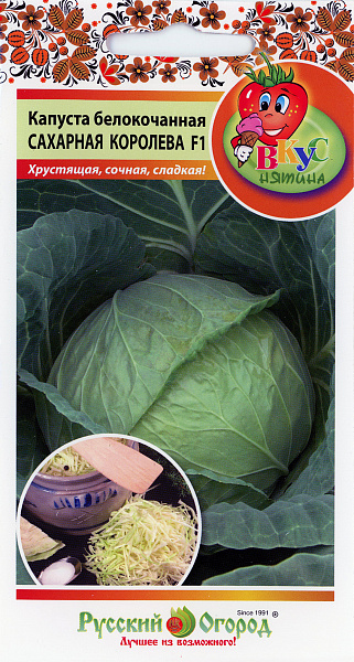 картинка Капуста белокочанная Сахарная королева F1, 50 шт. Вкуснятина! от магазина ОПТ6
