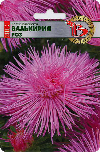 картинка Астра китайская Валькирия SELECT Роз, 40 шт. от магазина ОПТ6