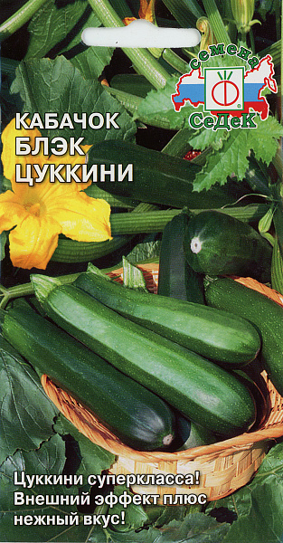 картинка Кабачок Блэк цуккини, 2г от магазина ОПТ6