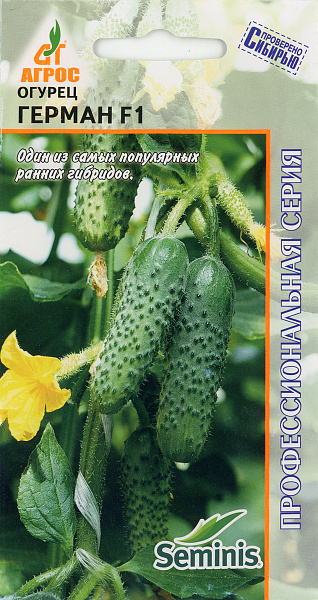 картинка Огурец Герман F1, 8 шт. Seminis от магазина ОПТ6
