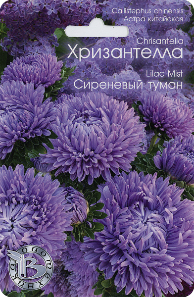 картинка Астра китайская Хризантелла Сиреневый туман, 40 шт. от магазина ОПТ6