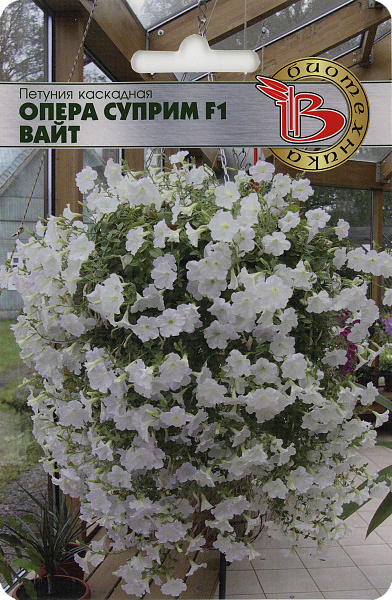 картинка Петуния каскадная Опера Суприм Вайт F1, 5 шт. от магазина ОПТ6