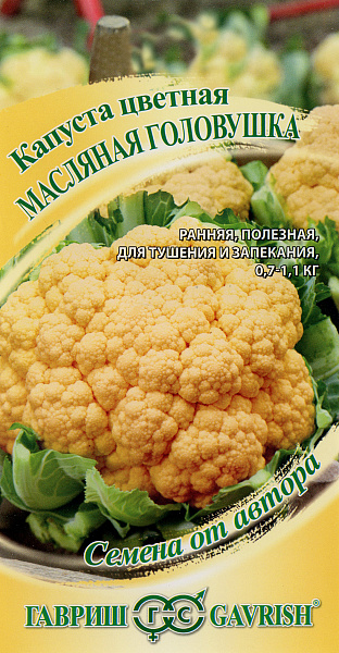 картинка Капуста цветная Масляная головушка, 10 шт. Семена от автора от магазина ОПТ6