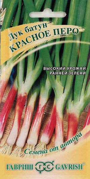 картинка Лук на зелень Красное перо, 1г Семена от автора от магазина ОПТ6