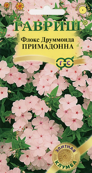 картинка Флокс Друммонда Примадонна, 8 шт. Элитная клумба от магазина ОПТ6