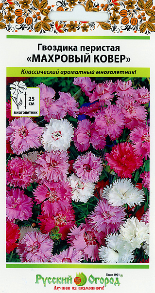 картинка Гвоздика перистая Махровый ковер, Смесь, 0,1г от магазина ОПТ6