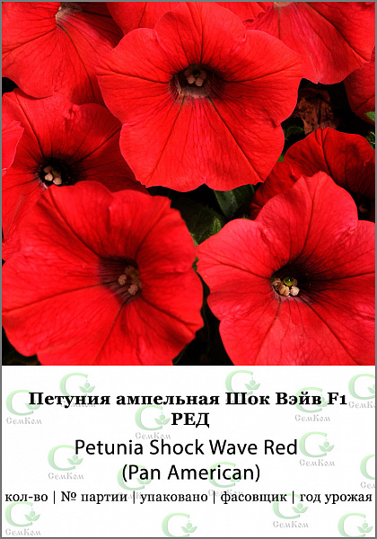 картинка Петуния ампельная Шок Вэйв Ред F1, 50 др. СЕМКОМ ПРОФИ PanAmerican Seeds от магазина ОПТ6