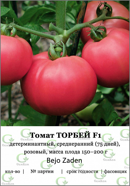 картинка Томат Торбей F1, 50 шт. СЕМКОМ ПРОФИ Bejo Zaden от магазина ОПТ6