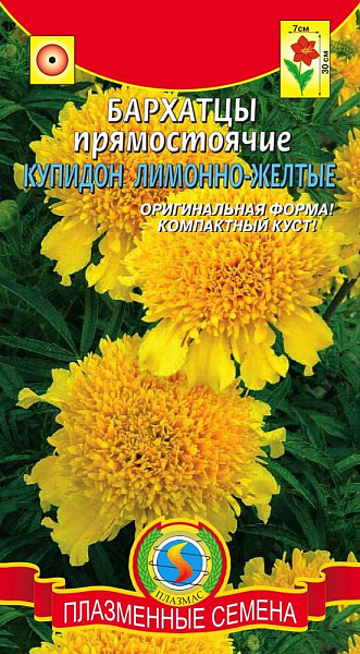 картинка Бархатцы Купидон Лимонно-желтые, 20 шт. от магазина ОПТ6