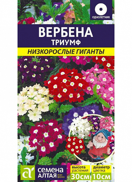 картинка Вербена гибридная Триумф, 0,1г Низкорослые гиганты от магазина ОПТ6
