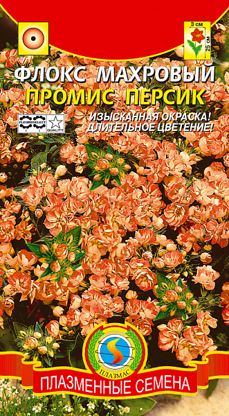 картинка Флокс махровый Промис Персик, 5 шт. от магазина ОПТ6