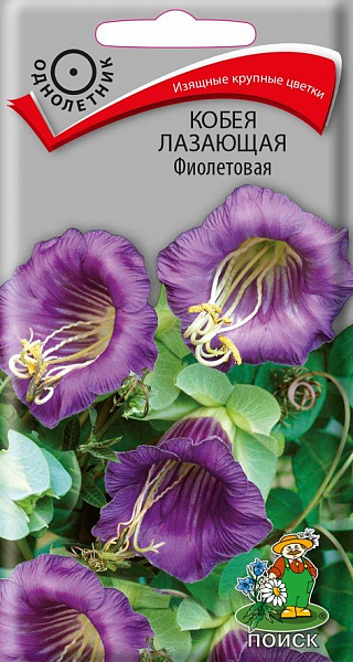 картинка Кобея лазающая Фиолетовая, 5 шт. от магазина ОПТ6