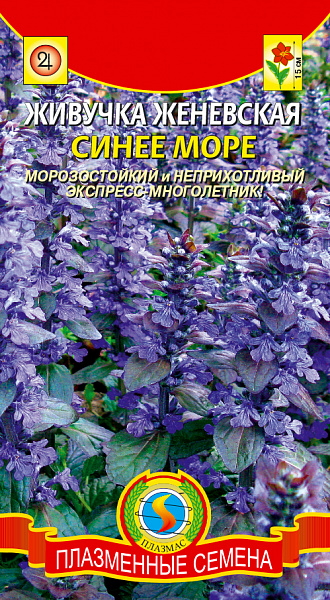 картинка Живучка женевская Синее море, 10 шт. от магазина ОПТ6