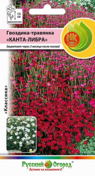 картинка Гвоздика - травянка Канта-Либра, Смесь, 0,1г от магазина ОПТ6