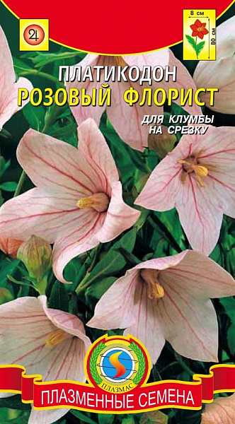 картинка Платикодон Розовый флорист, 30 шт. от магазина ОПТ6