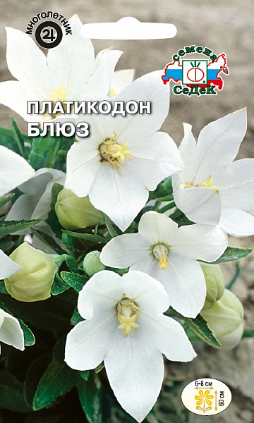картинка Платикодон Блюз, 0,1г от магазина ОПТ6