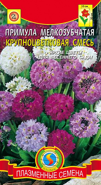 картинка Примула мелкозубчатая Крупноцветковая, Смесь, 0,01г от магазина ОПТ6