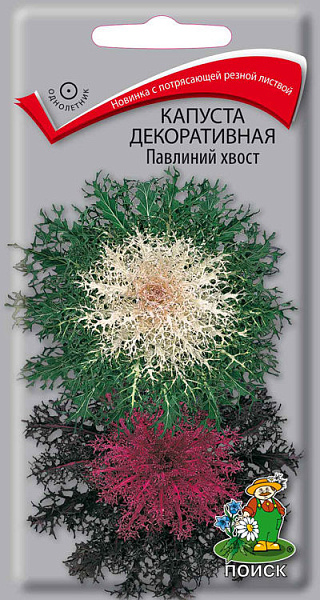 картинка Капуста декоративная Павлиний хвост, Смесь, 7 шт. от магазина ОПТ6
