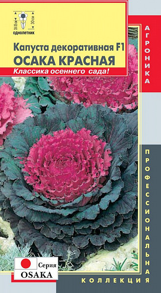 картинка Капуста декоративная Осака Красная F1, 5 шт. Профессиональная коллекция от магазина ОПТ6