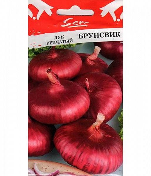 картинка Лук репчатый Брунсвик, 1г от магазина ОПТ6