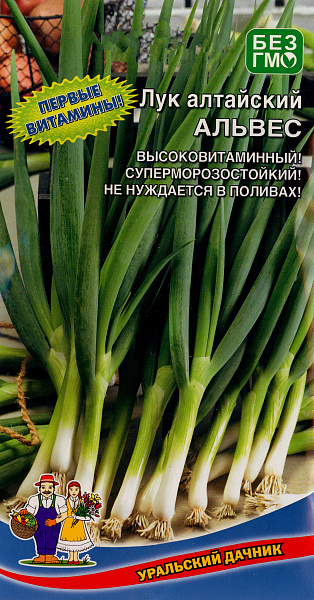 картинка Лук алтайский Альвес, 0,25 г. от магазина ОПТ6