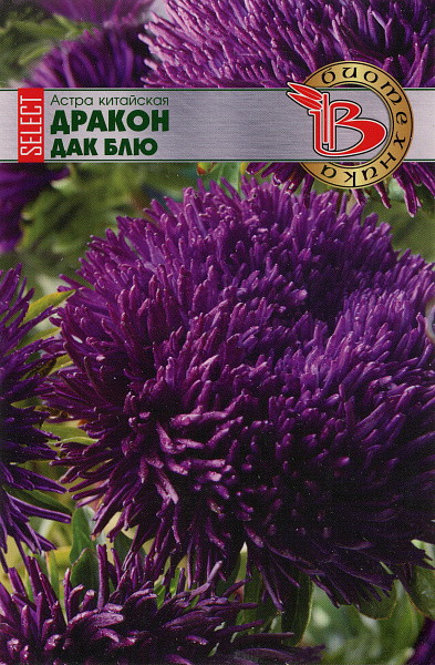 картинка Астра китайская Дракон SELECT Дак Блю, 30 шт. от магазина ОПТ6