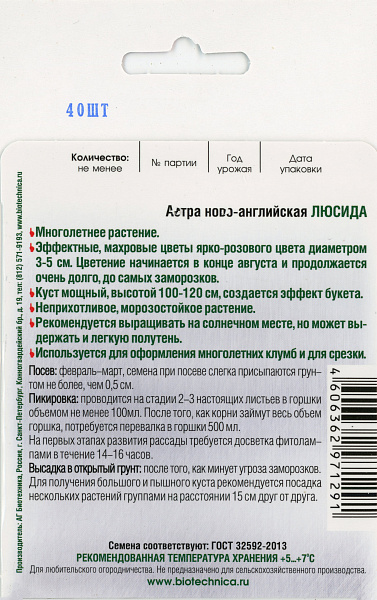 картинка Астра Новоанглийская Люсида, 40 шт. от магазина ОПТ6