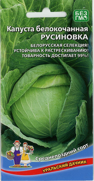 картинка Капуста белокочанная Русиновка, 0,3г от магазина ОПТ6